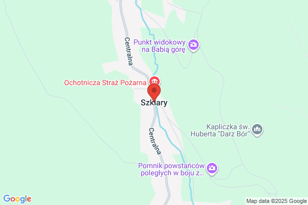 Szklarczyk Wladyslaw. Przewóz osób
