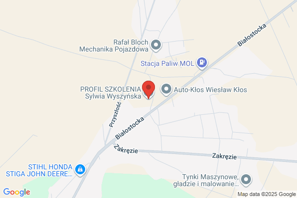 Wisniewska Halina. Szkolenie kandydatów na kierowców