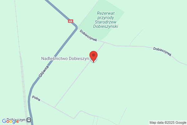 Lesnictwo Grabowy Las. Nadlesnictwo Dobieszyn