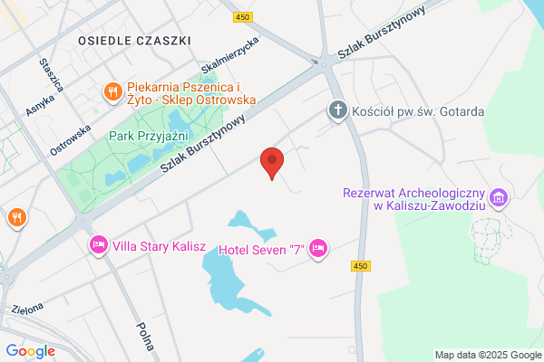 Fonik. Aparaty sluchowe