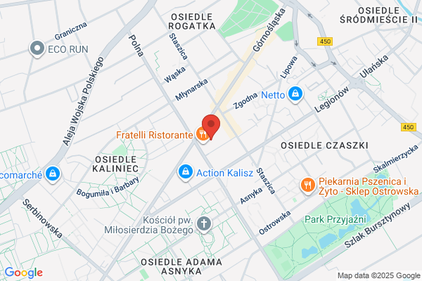 Projekt X. Zaklad uslug elektronicznych