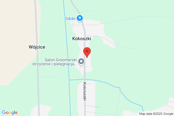 Urbanski Zygmunt. Uslugi remontowo - budowlane