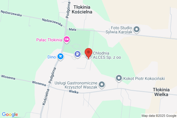 Alces. Chlodnia. Mrozenie, przechowywanie, logistyka produktów mrozonych