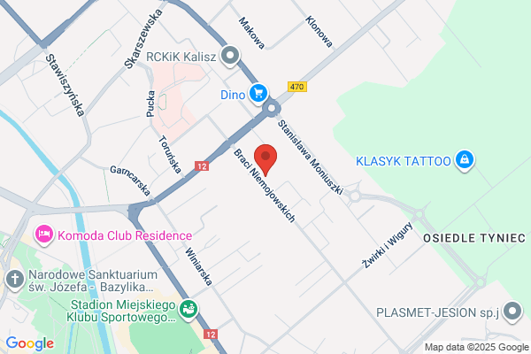 Wojciechowski Stanislaw. Uslugi geodezyjne