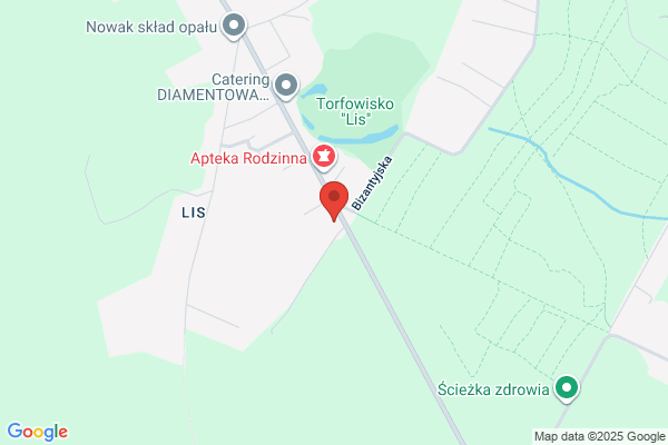 Walczak Maria, Tomasz. Rosliny ozdobne