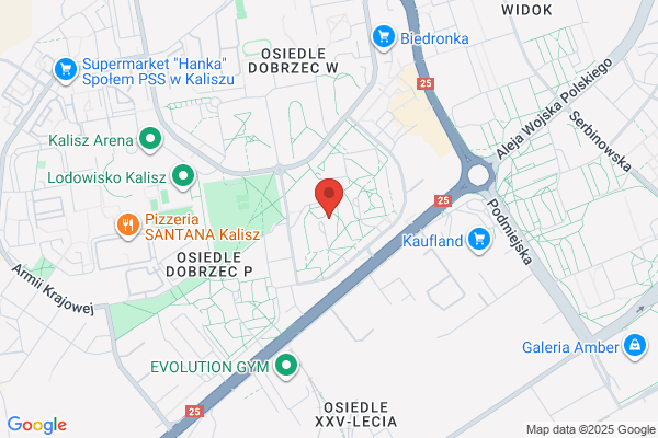 Duliba Andrzej. Nauka jazdy