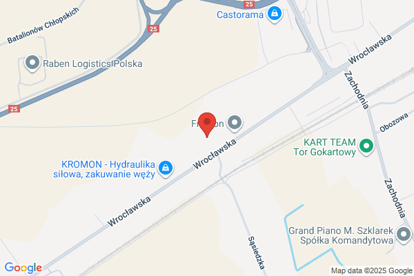 Pro-Met. Przetwórstwo ryb. Szott H.