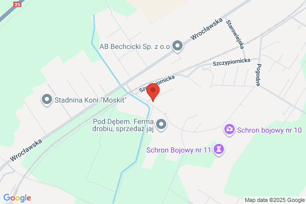 Budkom SC. PPHU. Zaklad produkcji metalowej. Lemiesze do plugów