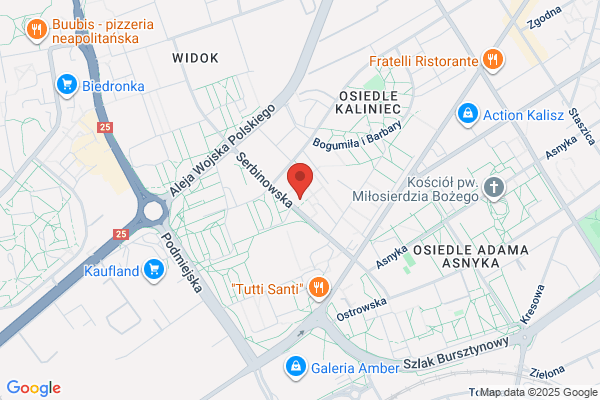 Kmiecik Irena. Kiosk spozywczo - przemyslowy