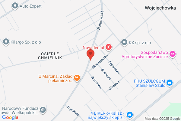 Borkowska Iwona. FHU. Sklep spozywczy