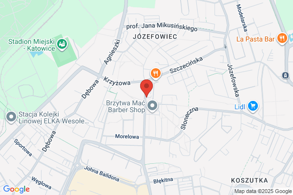 Pisarzowska Iwona, adwokat. Kancelaria