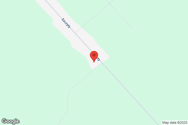 Lisinski Kazimierz. Przewozy autokarowe