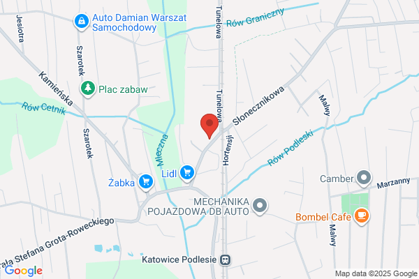 Transkorex. Uslugi przewozowe. Busy, autobusy. Porebski A.