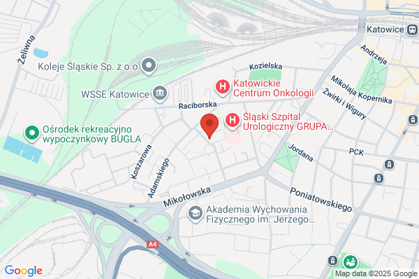 Strzelec. Bar restauracyjny. Maj-Gwózdz I.