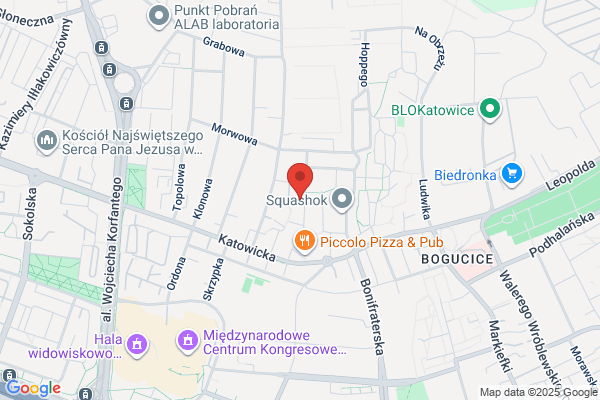 Kozdras Bronislaw. Projektowanie i ekspertyzy