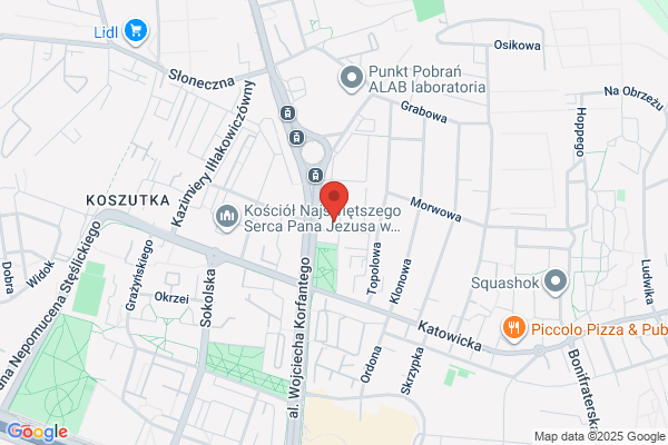 Polsystem. Maszyny frankujace. Systemy komputerowe
