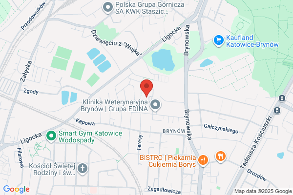 Lestor. S.j. Bramy, bramy garazowe, automatyka do bram