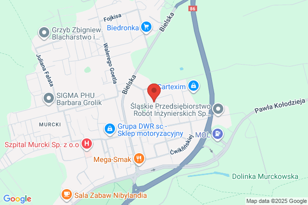 Klaus Karol. Zaklad palowania obiektów