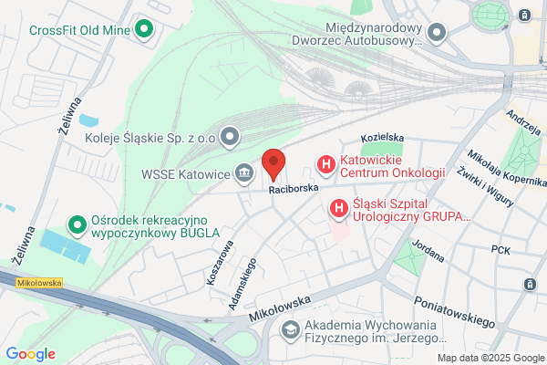 BASIK-REM. Szczygiel Krzysztof