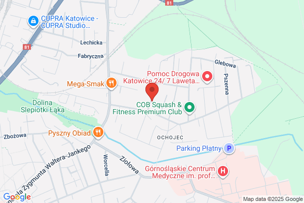 Wreczycki Ireneusz. Uslugi remontowo - budowlane