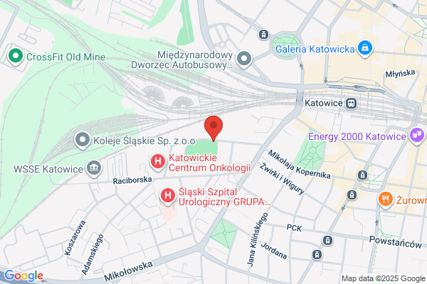 Cmentarz zydowski przy Gminie Wyznaniowej Zydów