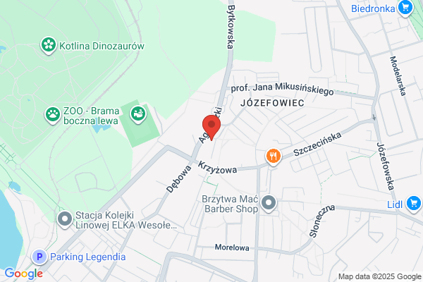 Domir. Biuro podatkowe. Witek-Pyka M.