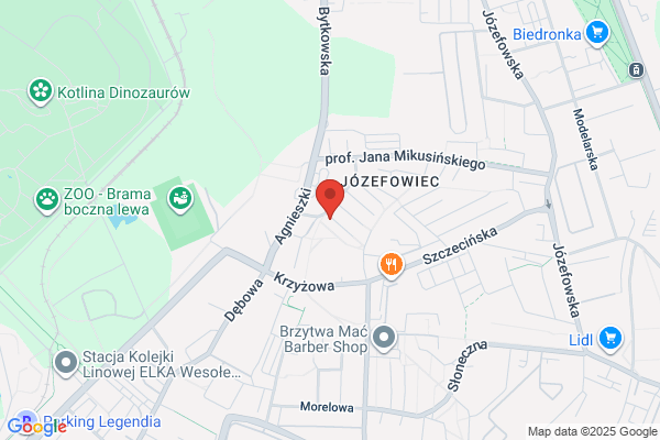 Jankowski Kazimierz. Przezwajanie silników