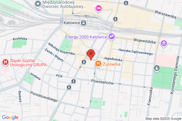 SKOK. Spóldzielcza Kasa Oszczednosciowo - Kredytowa im. F. Stefczyka. Biuro regionu slaskiego