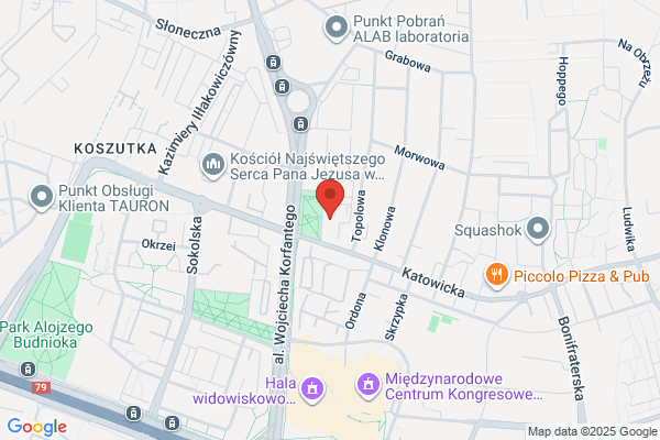 Komag. Centrum Mechanizacji Górnictwa. Zaklad systemów mechanizacyjnych