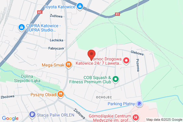 Lesniak Tadeusz. Uslugi elektryczne