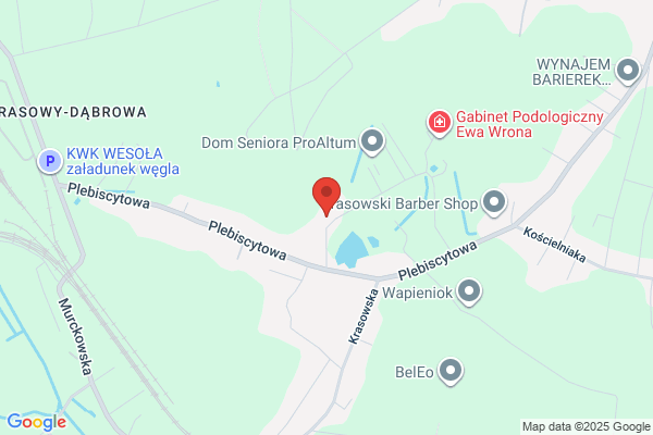Sobczynski W. Uslugi elektryczne