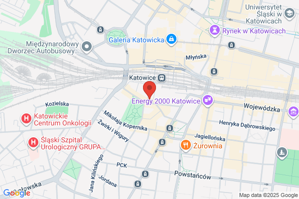 Mnich Wlodzimierz. Serwis gazowych urzadzen grzewczych