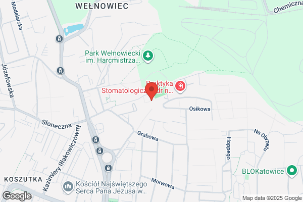 Fizzycomp. Budziosz P.