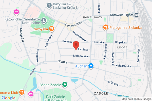 Hanslik. Laboratorium oprogramowania