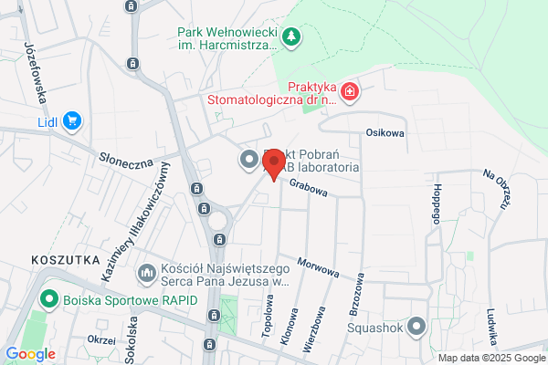 Omnis. S.j. Oprogramowanie uzytkowe, komputery