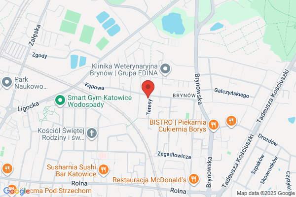 Toro SC. Zaklad systemów mikrokomputerowych. Kujawa, Placzek, Welna