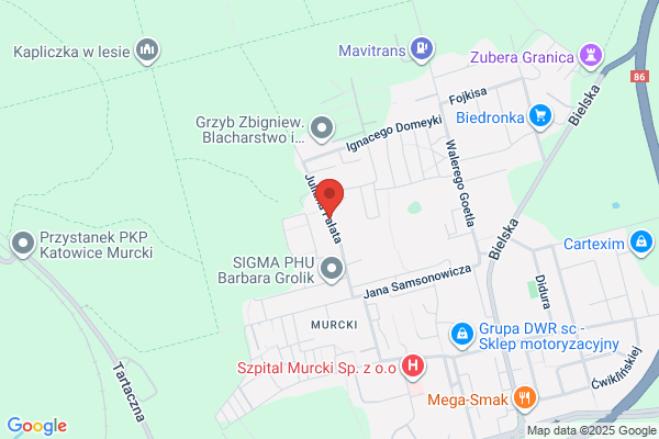 Budoserwis ZUH. Sp. z o.o. Doradztwo gospodarcze, ekspertyzy, wdrazanie systemów jakosci