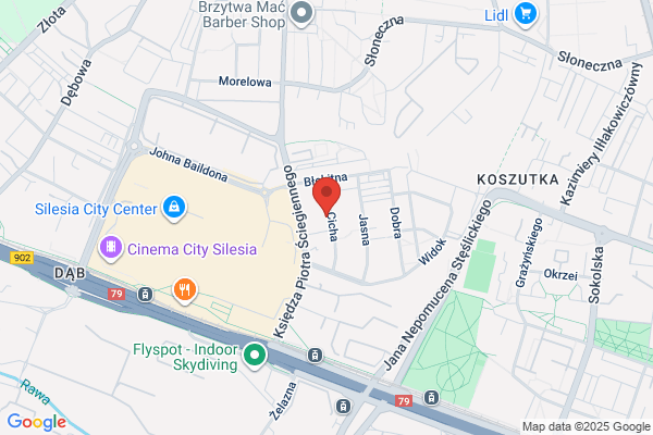 Stowarzyszenie Zborów Chrzescijan w RP. Zbór