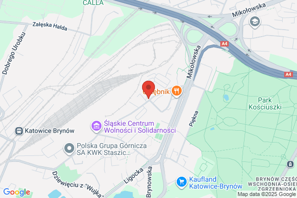 Styl. Salon krawiecki. Szczepocka B.