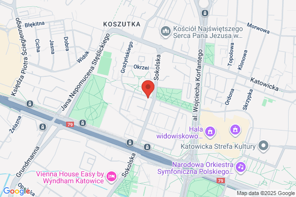 Bozek J. Uslugi kserograficzne