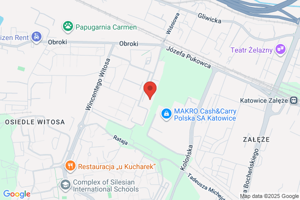 Golusda Krzysztof. Serwis i sprzedaz kserokopiarek, drukarek