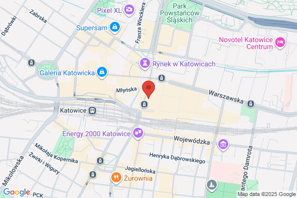 Silesia. Instytucja promocji i upowszechniania muzyki