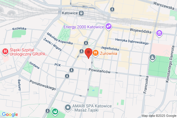Slaskie Centrum Dziedzictwa Kulturowego