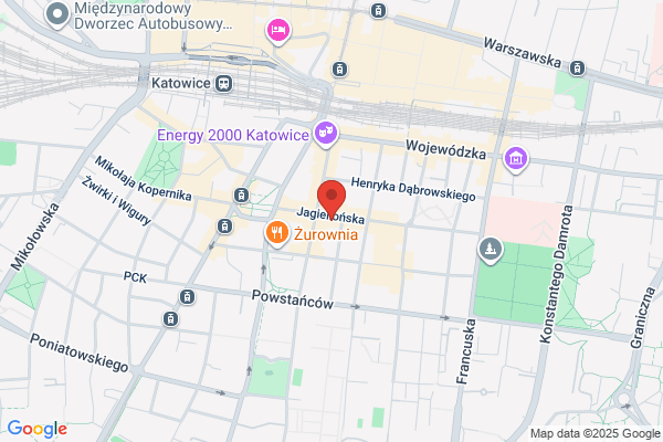 Kaktus. Kwiaciarnia. Nowosiad U.
