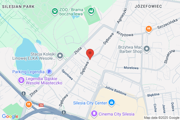 Lawendowa SC. Kwiaciarnia, poczta kwiatowa, dekoracje kwiatowe