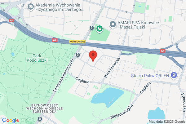 Gniadek Jan, dr nauk med. Spec. chirurg