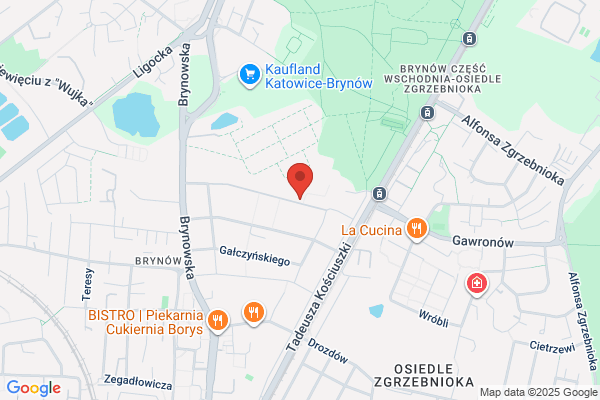 Górka Zygmunt, prof. dr hab. nauk med. Spec. chirurg, torakochirurg. Gabinet