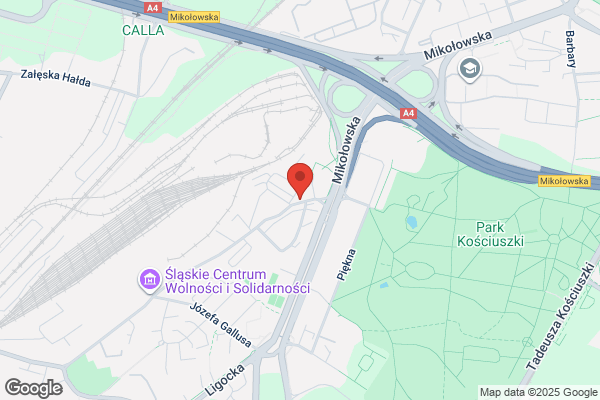 Paluchiewicz Jadwiga, dr nauk med. Spec. chorób oczu. Gabinet