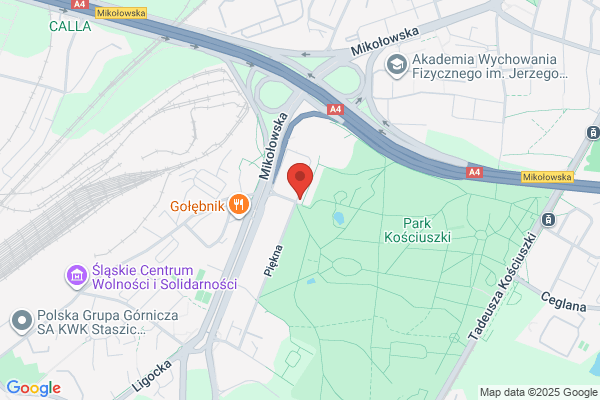 Góralczyk Barbara. Lodziarnia