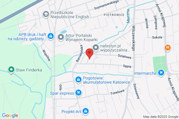 BAS. Biuro Analiz Socjologicznych. Kozlowska E.